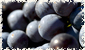maverick wines image 7