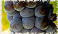 maverick wines image 8
