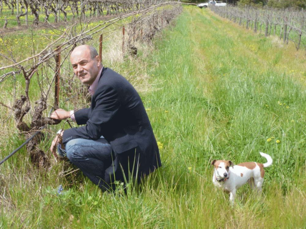 Barossa Ridge Vineyard, Vine Vale, Barossa Valley - Maverick Wines